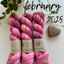 Load image into Gallery viewer, Emma's Monthly Club Yarn Super Silky