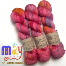 Load image into Gallery viewer, Emma's Monthly Club Yarn Super Silky