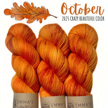 Load image into Gallery viewer, Emma's Monthly Club Yarn Super Silky