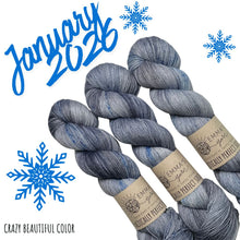 Load image into Gallery viewer, Emma's Monthly Club Yarn Super Silky