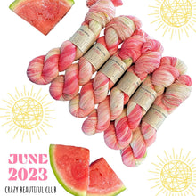 Load image into Gallery viewer, Emma's Monthly Club Yarn Super Silky