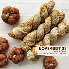 Load image into Gallery viewer, Emma's Monthly Club Yarn Super Silky