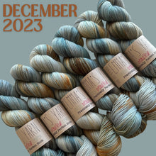 Load image into Gallery viewer, Emma's Monthly Club Yarn Super Silky