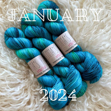 Load image into Gallery viewer, Emma's Monthly Club Yarn Super Silky