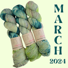 Load image into Gallery viewer, Emma's Monthly Club Yarn Super Silky