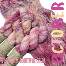 Load image into Gallery viewer, Emma's Monthly Club Yarn Super Silky