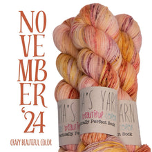 Load image into Gallery viewer, Emma's Monthly Club Yarn Super Silky