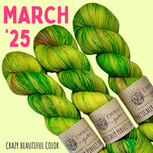 Load image into Gallery viewer, Emma's Monthly Club Yarn Super Silky