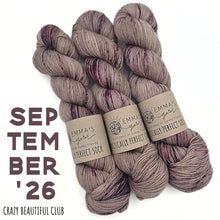 Load image into Gallery viewer, Emma's Monthly Club Yarn Super Silky