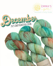 Load image into Gallery viewer, Emma's Monthly Club Yarn Super Silky