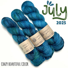 Load image into Gallery viewer, Emma's Monthly Club Yarn Super Silky