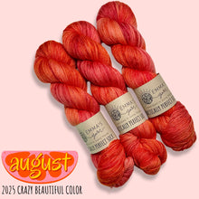Load image into Gallery viewer, Emma's Monthly Club Yarn Super Silky