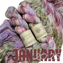 Load image into Gallery viewer, Emma's Monthly Club Yarn Super Silky
