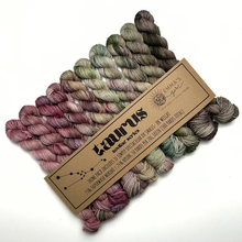 Load image into Gallery viewer, Theme Packs by Emma's Yarn
