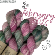 Load image into Gallery viewer, Emma's Monthly Club Yarn Super Silky