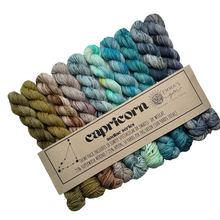 Load image into Gallery viewer, Theme Packs by Emma's Yarn