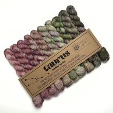 Load image into Gallery viewer, Theme Packs by Emma's Yarn