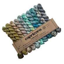 Load image into Gallery viewer, Theme Packs by Emma's Yarn