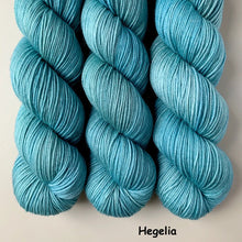 Load image into Gallery viewer, La Bien Aimee - Merino Sport