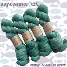 Load image into Gallery viewer, Emma's Monthly Club Yarn Super Silky