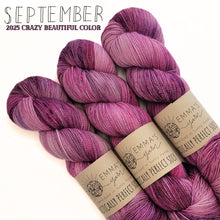Load image into Gallery viewer, Emma&#39;s  Monthly Club Yarn Super Silky
