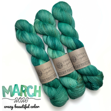 Load image into Gallery viewer, Emma's  Monthly Club Yarn Super Silky
