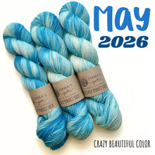 Load image into Gallery viewer, Emma's  Monthly Club Yarn Super Silky
