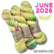Load image into Gallery viewer, Emma's  Monthly Club Yarn Super Silky
