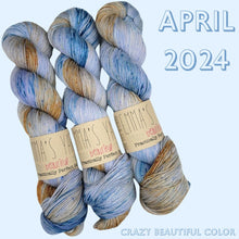 Load image into Gallery viewer, Emma&#39;s  Monthly Club Yarn Super Silky
