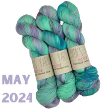Load image into Gallery viewer, Emma&#39;s  Monthly Club Yarn Super Silky
