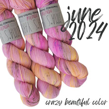 Load image into Gallery viewer, Emma&#39;s  Monthly Club Yarn Super Silky
