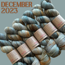 Load image into Gallery viewer, Emma&#39;s  Monthly Club Yarn Super Silky
