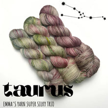 Load image into Gallery viewer, Zodiac Series Super Silky Trio
