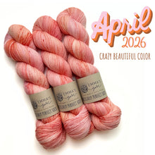 Load image into Gallery viewer, Emma's  Monthly Club Yarn Super Silky
