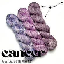 Load image into Gallery viewer, Zodiac Series Super Silky Trio
