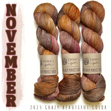 Load image into Gallery viewer, Emma&#39;s  Monthly Club Yarn Super Silky
