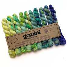 Load image into Gallery viewer, Theme Packs by Emma's Yarn
