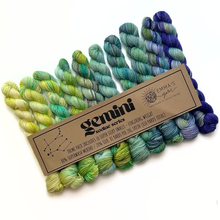 Load image into Gallery viewer, Theme Packs by Emma's Yarn

