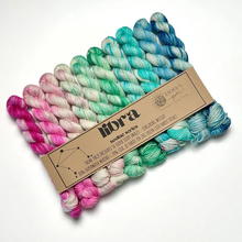 Load image into Gallery viewer, Theme Packs by Emma's Yarn
