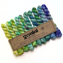 Load image into Gallery viewer, Theme Packs by Emma's Yarn
