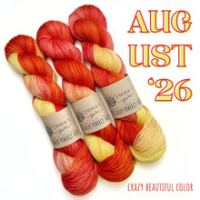 Load image into Gallery viewer, Emma's  Monthly Club Yarn Super Silky
