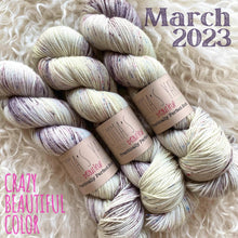 Load image into Gallery viewer, Emma&#39;s  Monthly Club Yarn Super Silky
