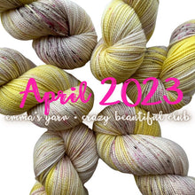 Load image into Gallery viewer, Emma&#39;s  Monthly Club Yarn Super Silky
