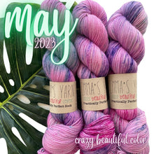 Load image into Gallery viewer, Emma&#39;s  Monthly Club Yarn Super Silky
