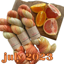 Load image into Gallery viewer, Emma&#39;s  Monthly Club Yarn Super Silky

