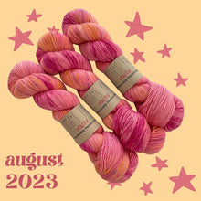 Load image into Gallery viewer, Emma&#39;s  Monthly Club Yarn Super Silky
